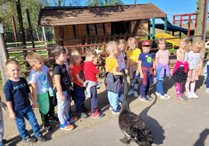 Dzieci obserwują czarnego łabędzia