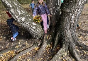 Dziewczynka zbiera jesienne liście