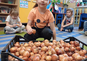 Chłopiec wybiera cebulę