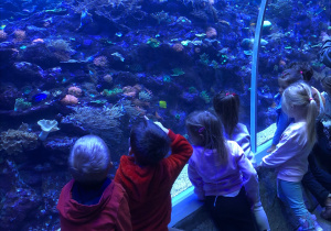 Dzieci oglądają ryby