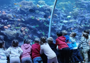 Dzieci oglądają ryby