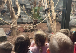 Dzieci stoją przy szybie, oglądają orangutana