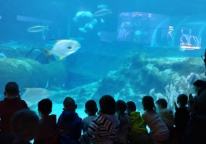 Dzieci oglądają ryby