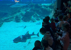 Dzieci oglądają ryby