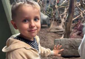 Chłopiec stoi przy szybie wybiegu